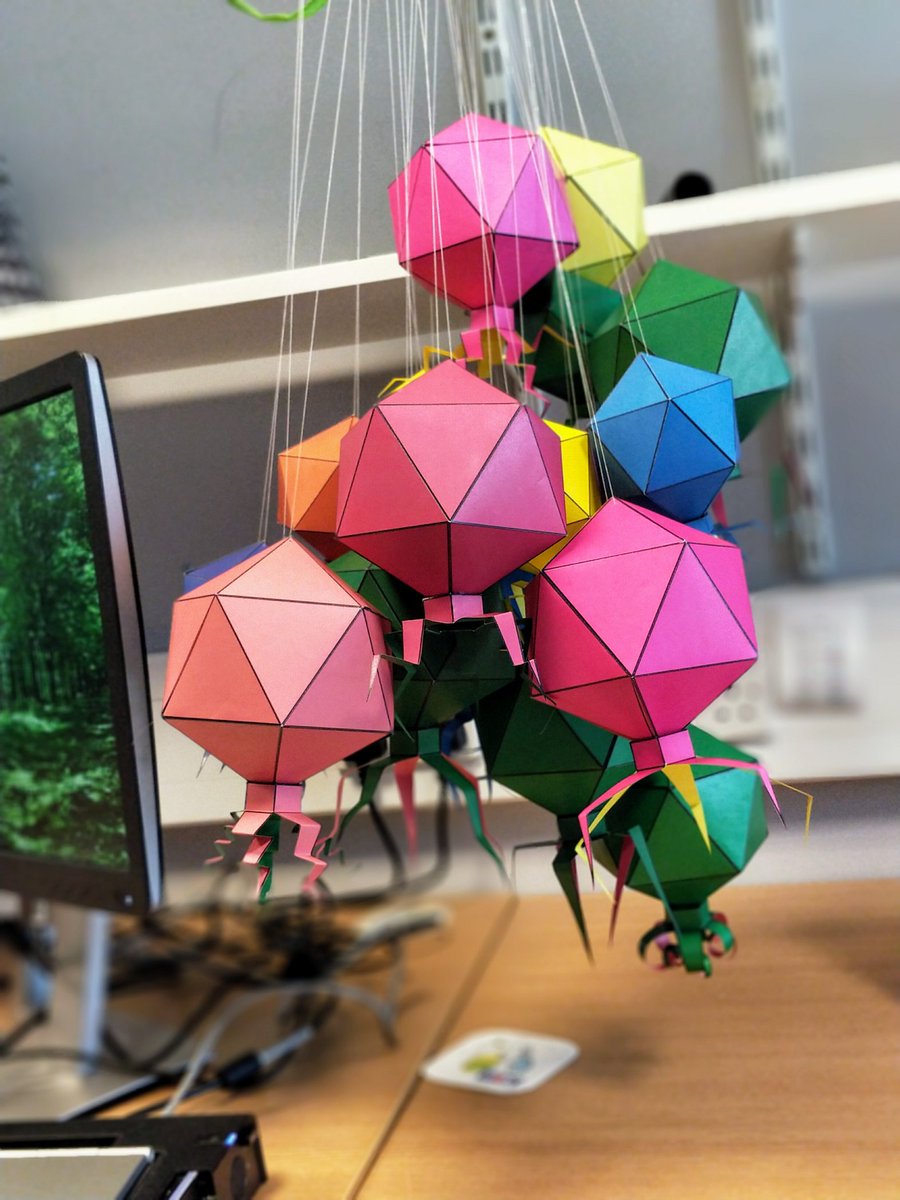 paper phage